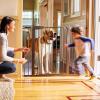 imageMunchkin Easy Close XL Metal Baby Gate 295quot  516quot Wide Black Model MK0009111Bronze