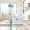 imageMunchkin Sponge Bottle Brush Grey 2 Count Pack of 1Bottle Brush  Sage