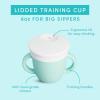 imageMunchkin Cest Silicone Training Sippy Cup with Lid for Babies and Toddlers 6 oz MintMint