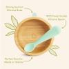 imageMunchkin Bambou Suction Bowl and Silicone Spoon for Babies and Toddlers NonToxic BambooBowl and Spoon